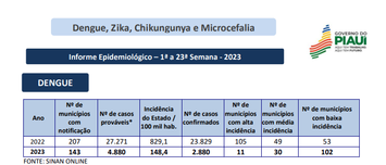 Piauí apresenta redução de notificações de dengue, zika e chikungunya em relação a 2022