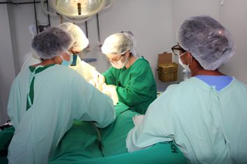 HGV realiza duas captações de órgãos em uma semana e oito transplantes renais
