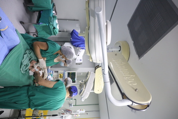 Governo do Piauí inicia a realização de cirurgias cardíacas no Hospital Infantil Lucídio Portella 