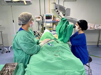 Maior hospital público do Piauí, HGV realizou 100 cirurgias no final de semana