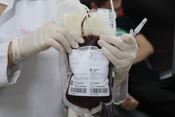 Hemopi pede reforço nas doações de sangue com fator Rh negativo