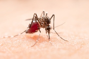 Sesapi realiza capacitação para o combate à dengue no sul do estado