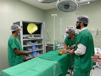 Equipe do HPM participa de treinamento para iniciar a realização de cirurgias no joelho