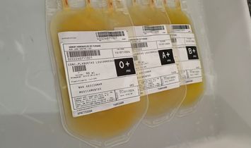 Hemopi inicia produção e distribuição de plaquetas em Floriano e descentraliza serviço