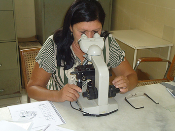 IV CRS capacita laboratoristas na identificação de vetores 