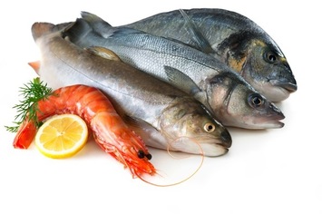 Vigilância Sanitária alerta sobre cuidados na compra de pescados